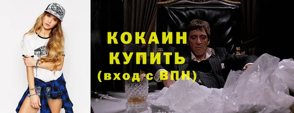 твердый Вяземский