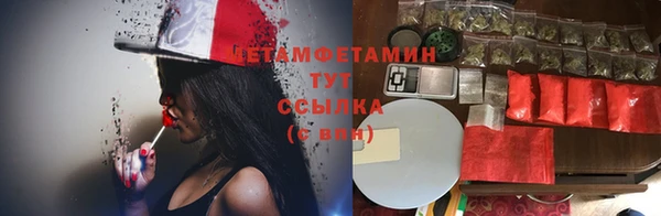 твердый Вяземский