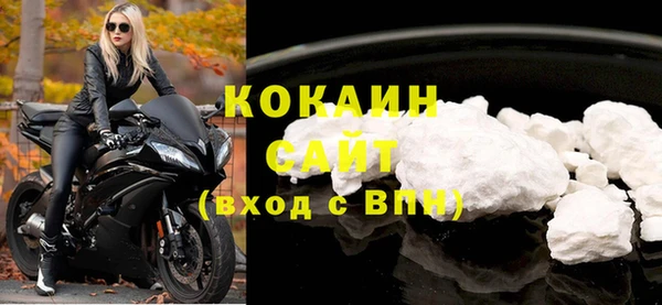 твердый Вяземский