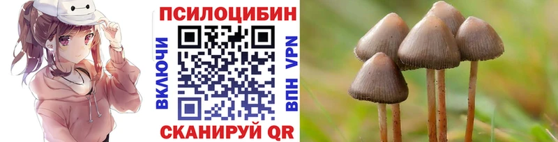 omg маркетплейс  где купить наркоту  Зеленогорск  Псилоцибиновые грибы MAGIC MUSHROOMS 
